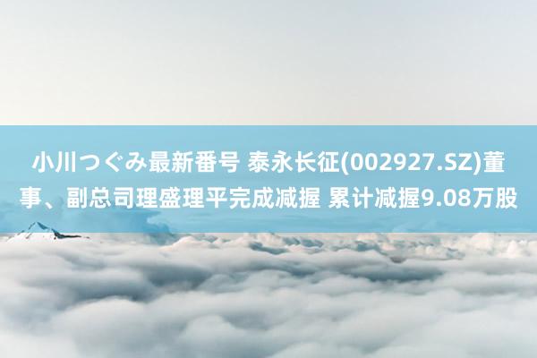 小川つぐみ最新番号 泰永长征(002927.SZ)董事、副总司理盛理平完成减握 累计减握9.08万股