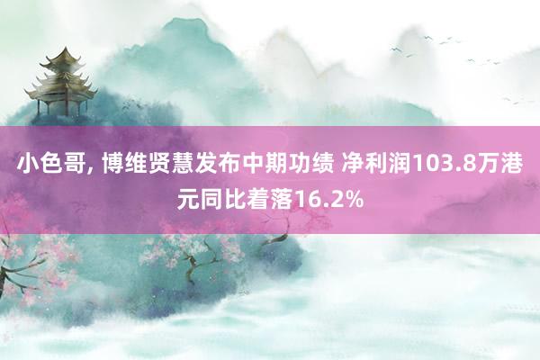 小色哥， 博维贤慧发布中期功绩 净利润103.8万港元同比着落16.2%