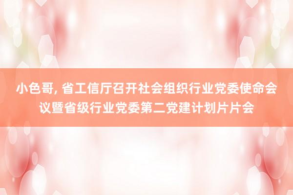 小色哥， 省工信厅召开社会组织行业党委使命会议暨省级行业党委第二党建计划片片会