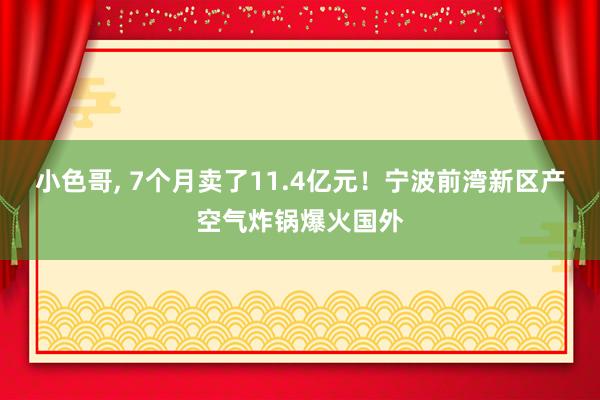 小色哥， 7个月卖了11.4亿元！宁波前湾新区产空气炸锅爆火国外