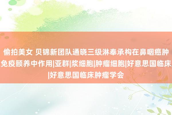 偷拍美女 贝锦新团队通晓三级淋奉承构在鼻咽癌肿瘤进展及免疫颐养中作用|亚群|浆细胞|肿瘤细胞|好意思国临床肿瘤学会