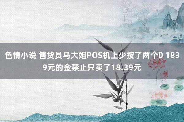 色情小说 售货员马大姐POS机上少按了两个0 1839元的金禁止只卖了18.39元